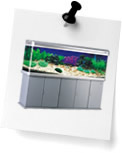 Aquariums (4)