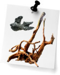 Decorations (0)